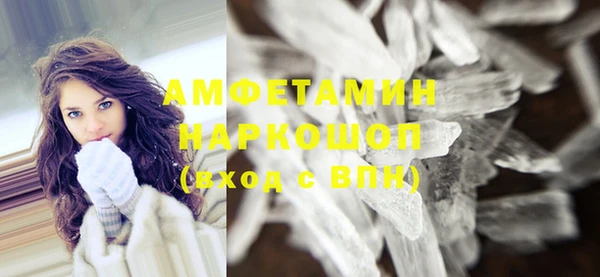 индика Бронницы