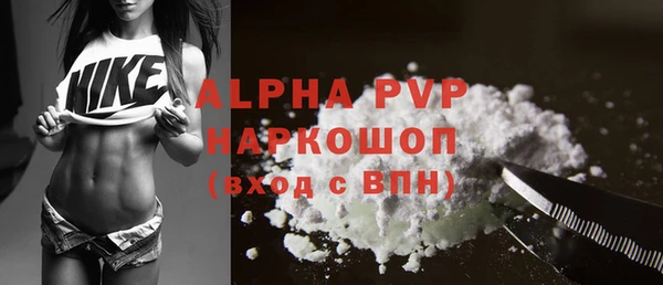 ECSTASY Бородино