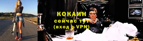 ECSTASY Бородино