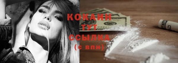 индика Бронницы