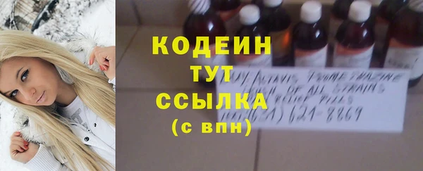 индика Бронницы