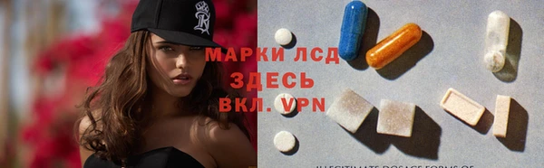 ECSTASY Бородино
