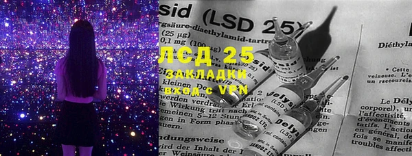ECSTASY Бородино