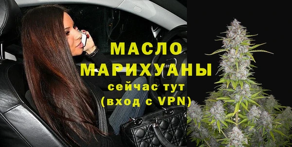 индика Бронницы