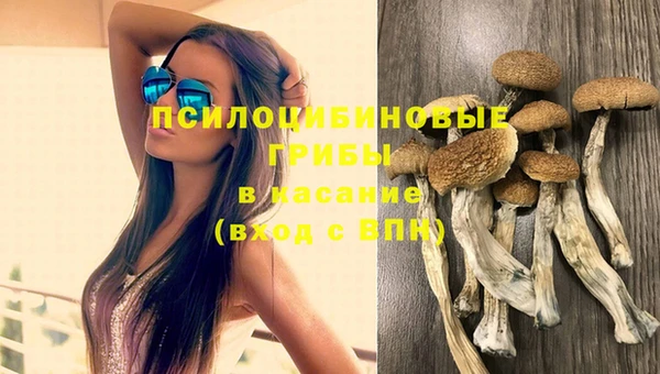 тгк Бугульма