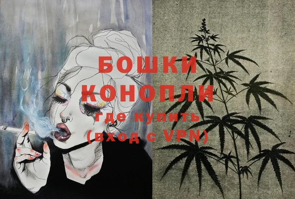 индика Бронницы