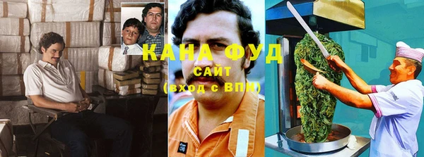 индика Бронницы