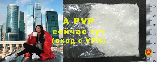ECSTASY Бородино