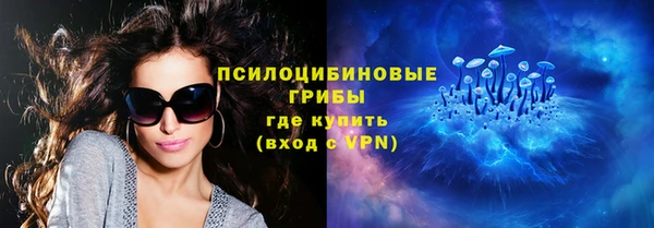 индика Бронницы