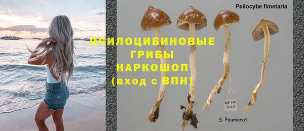 ECSTASY Бородино
