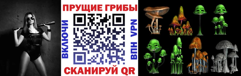 магазин продажи наркотиков  Оса  Галлюциногенные грибы Cubensis 